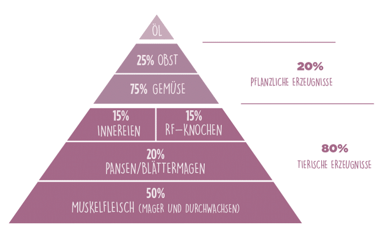 Das Bild zeigt eine Barf Pyramide, mit Prozentangaben